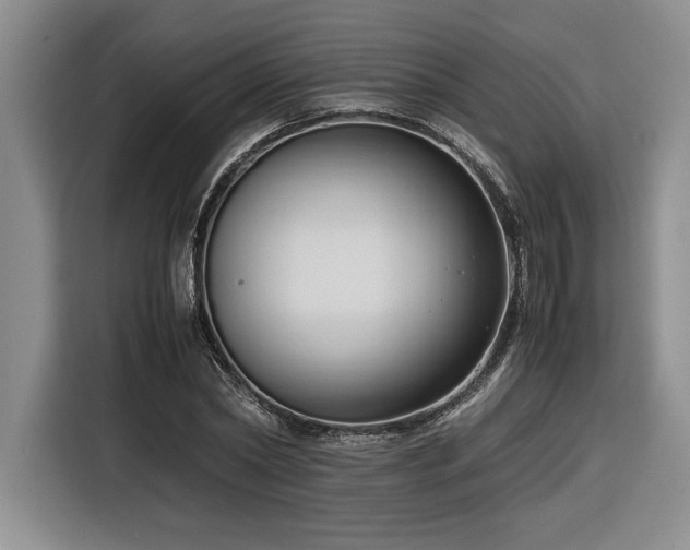 X0000116680782200912141431