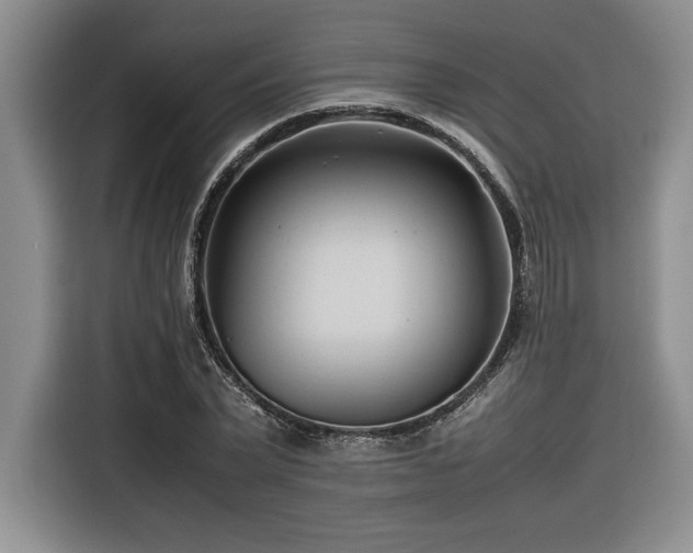 X0000116680783200912141431