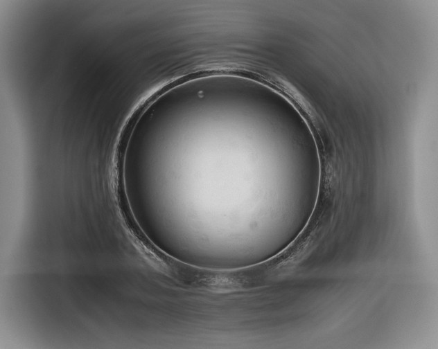 X0000116680787200912141431