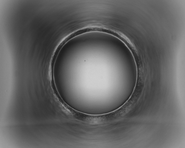 X0000116680791200912141431