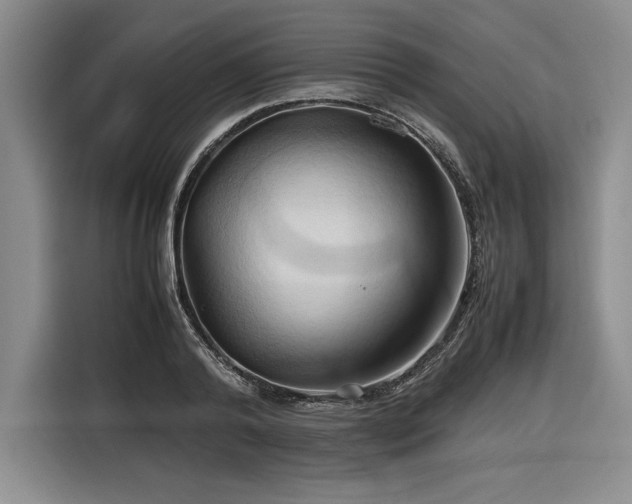 X0000116680792200912141431