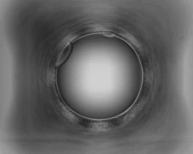 X0000116680793200912141431