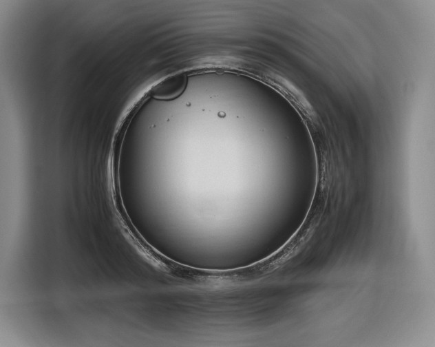 X0000116680796200912141431