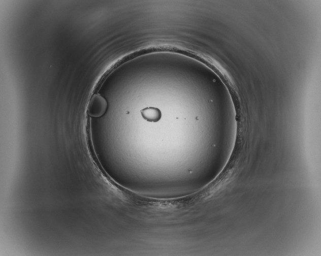 X0000116680799200912141431