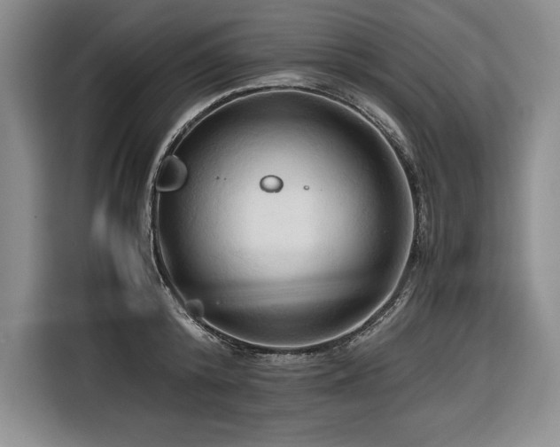 X0000116680800200912141431