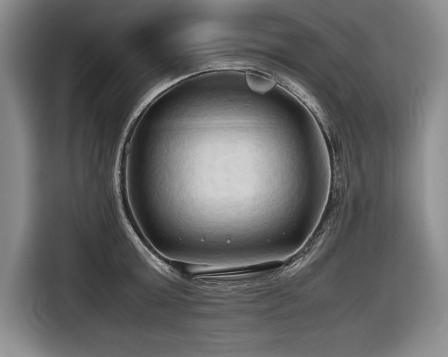 X0000116680803200912141431