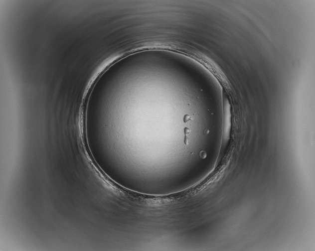 X0000116680804200912141431