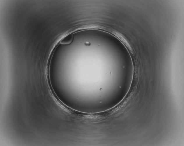 X0000116680805200912141431