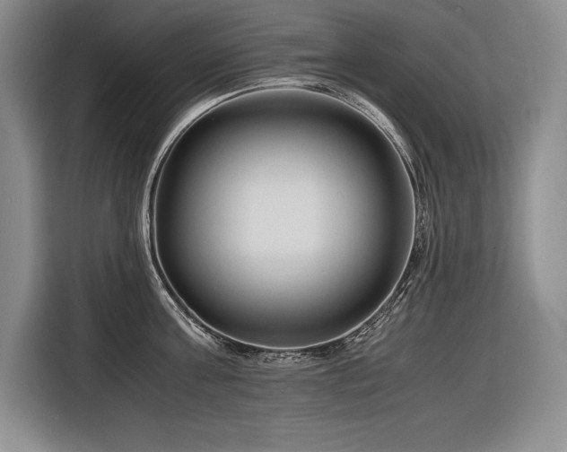 X0000116680811200912141431