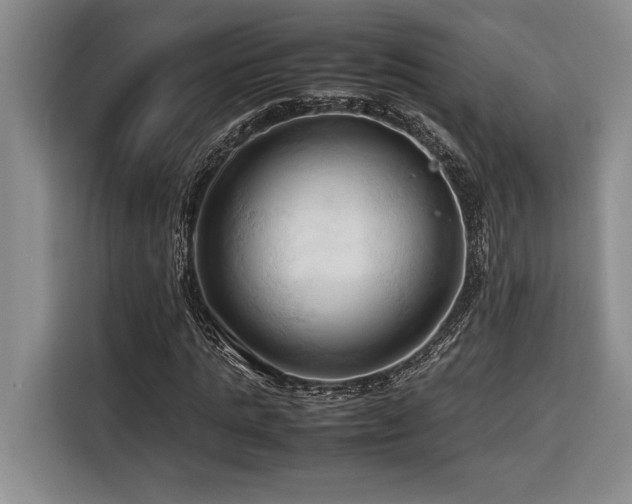 X0000116680821200912141430