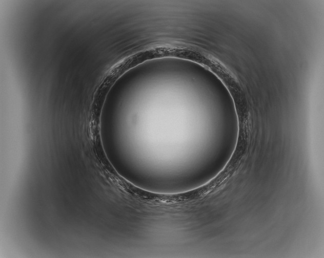 X0000116680822200912141430