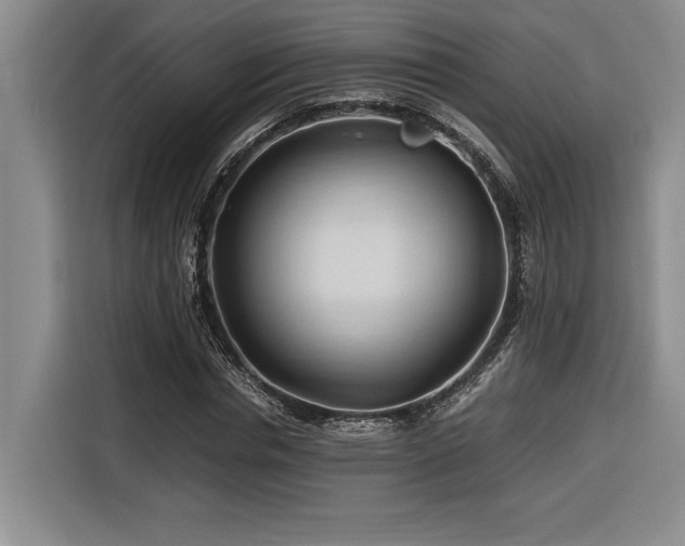 X0000116680826200912141430