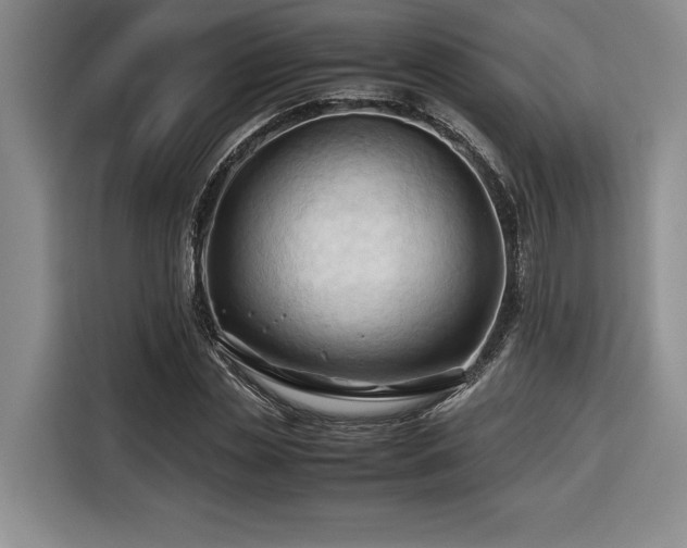 X0000116680829200912141430