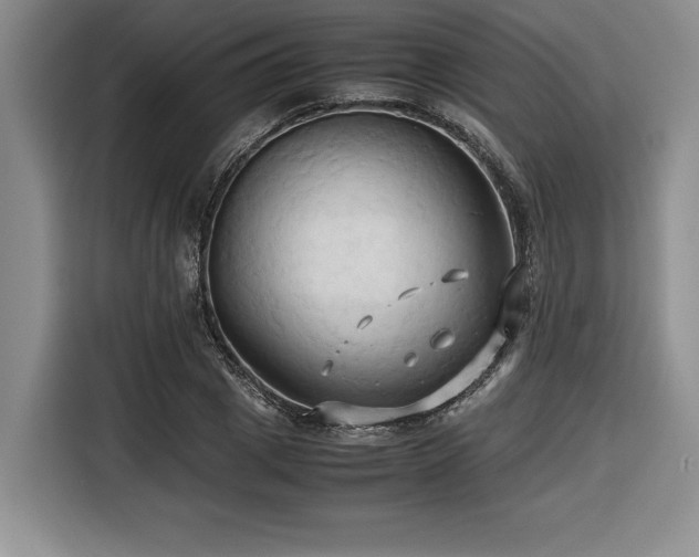 X0000116680833200912141430