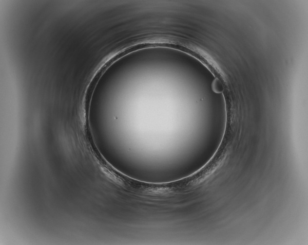 X0000116680837200912141430