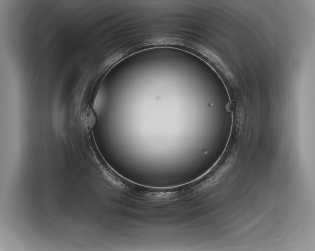 X0000116680841200912141430