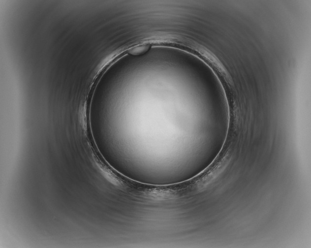 X0000116680842200912141430