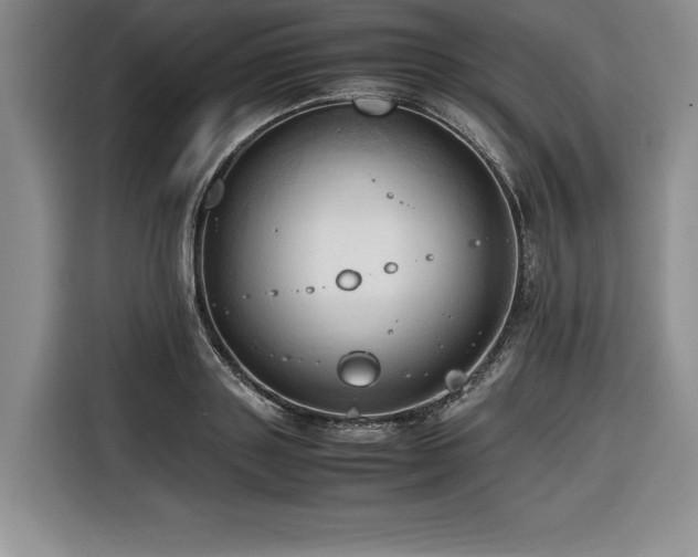 X0000116680843200912141430