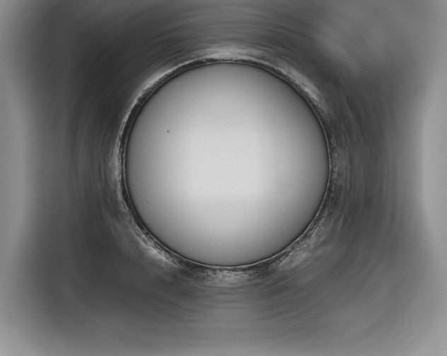 X0000116680848200912141430