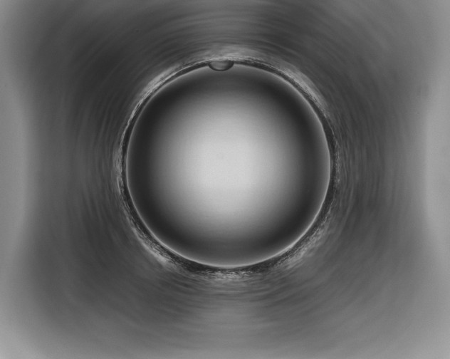 X0000116680850200912141430