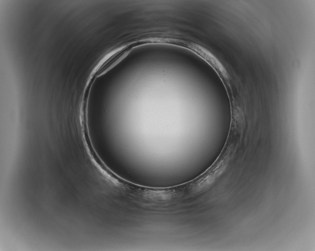 X0000116680855200912141430