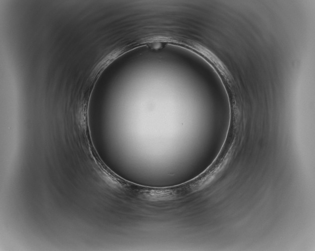 X0000116680857200912141430