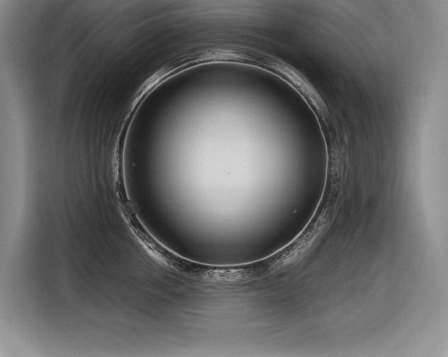 X0000116680858200912141430