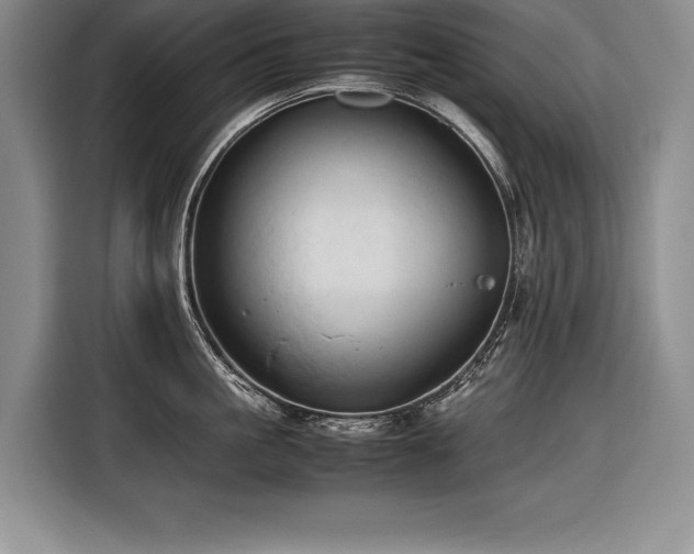 X0000116680861200912141430