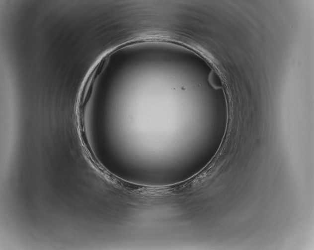 X0000116680864200912141430