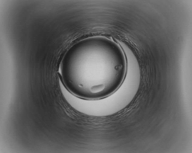 X0000116680868200912141430