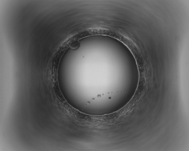 X0000116680870200912141430