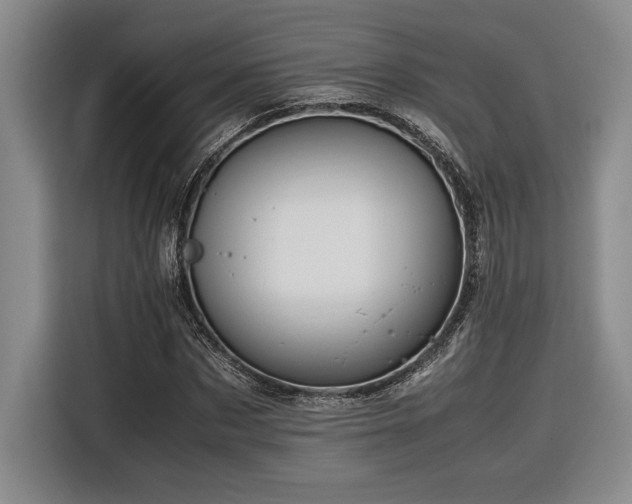 X0000116680873200912141430