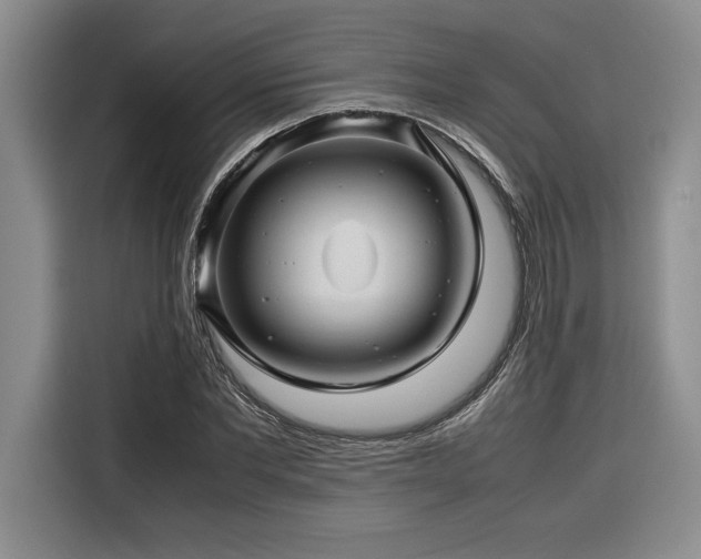 X0000116680877200912141430