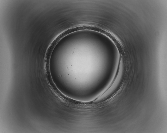 X0000116680878200912141430