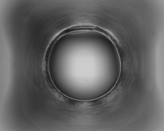 X0000116680879200912141430