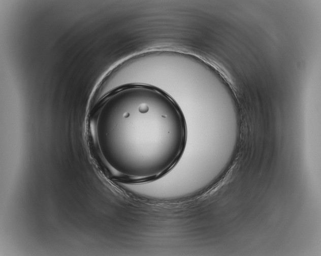 X0000116680880200912141430