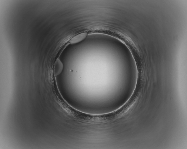 X0000116680881200912141430