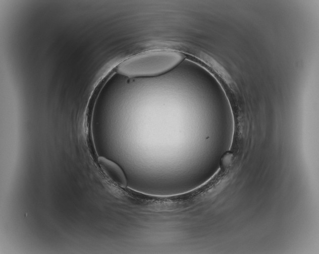 X0000116680885200912141430