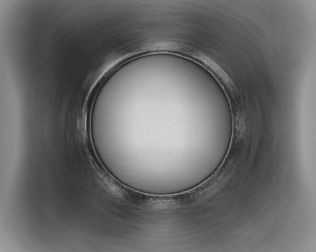 X0000116680886200912141430