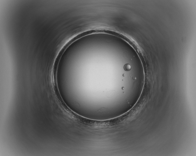 X0000116680887200912141430