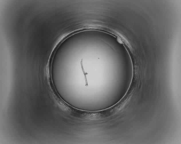 X0000116680891200912141430