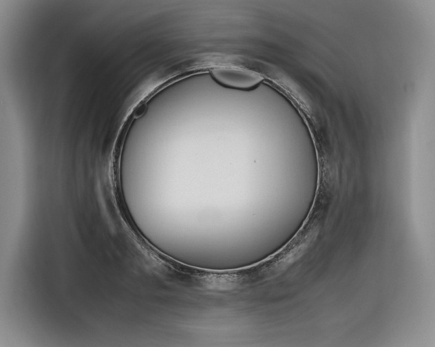 X0000116680893200912141429