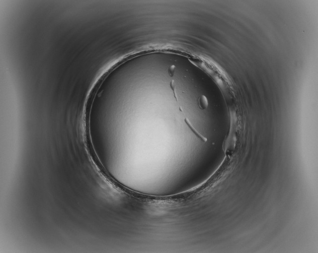 X0000116680894200912141429