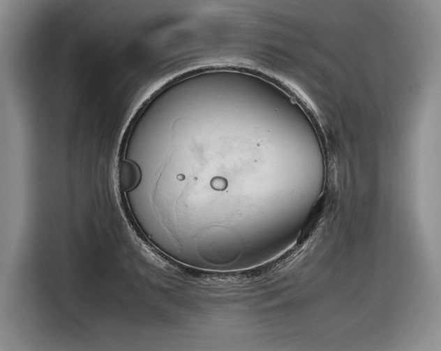 X0000116680895200912141429