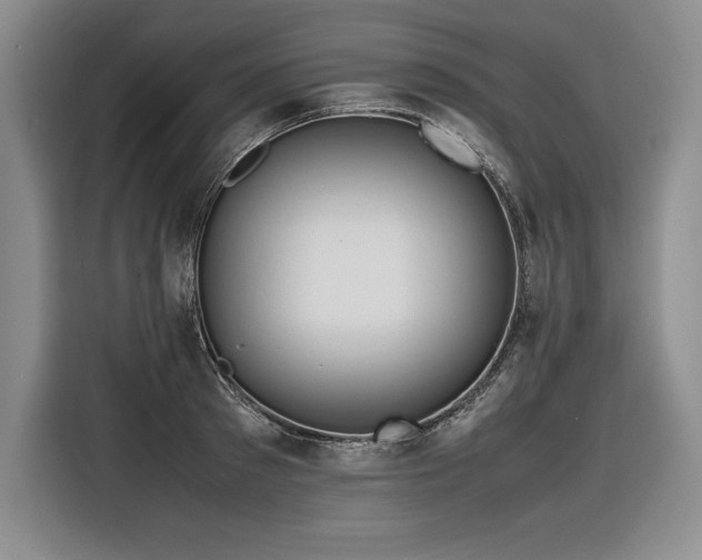 X0000116680897200912141429