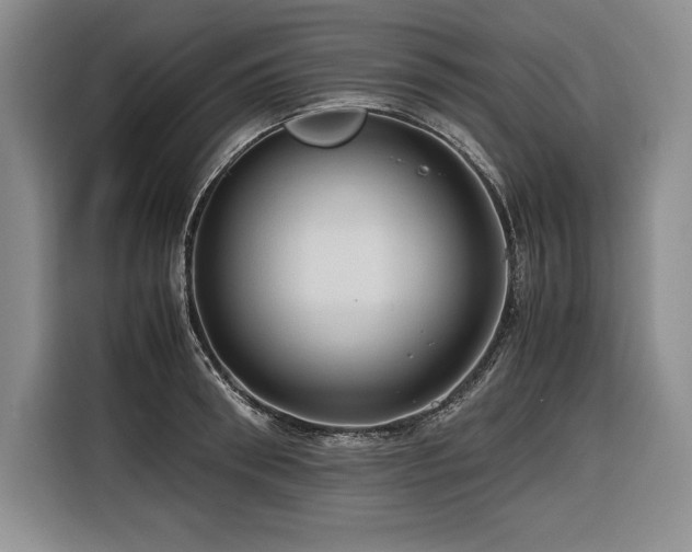 X0000116680898200912141429