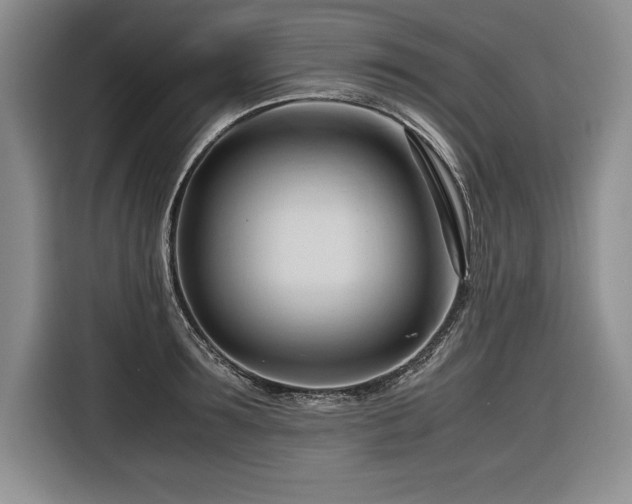 X0000116680899200912141429