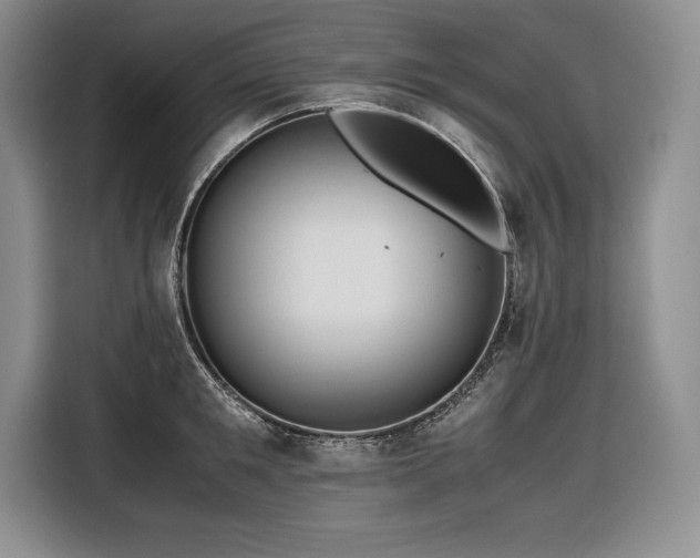 X0000116680901200912141429