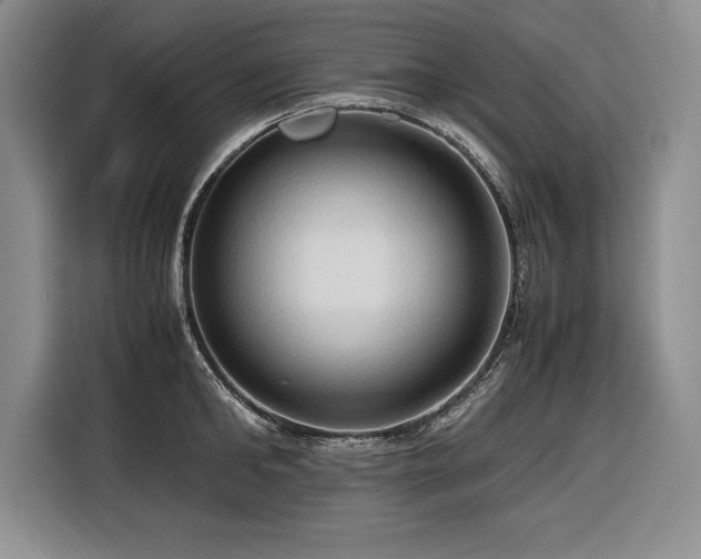 X0000116680902200912141429