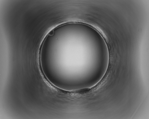 X0000116680903200912141429